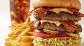 double-decker-chicken-burger.jpg