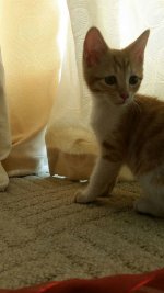 edited_IMG-20151114-WA0005.jpg