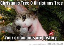 Funny-Christmas-Tree-Cat-141.jpg