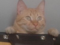 20130910_121851.jpg