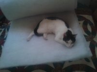 20130904_133344.jpg