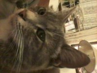 20130519_194243.jpg
