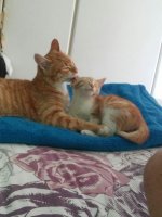 jag&nami.jpg