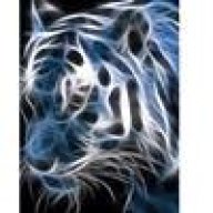 Djinn86