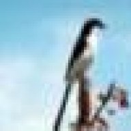 Shrike