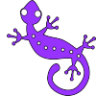 DeepwaterNewt