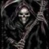 Reaver198