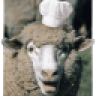 SkaapZA