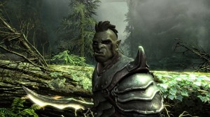 Skyrim screenshot - Orc Night