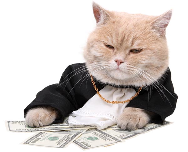 Fat cat money Fat cat money