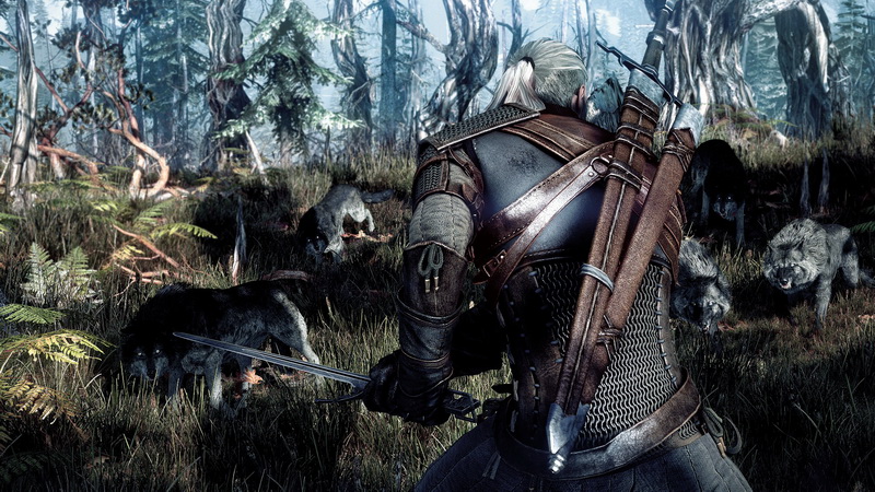 The Witcher 3 screenshot 4