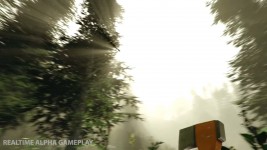 The Forest gameplay screenshots