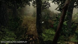 The Forest gameplay screenshots
