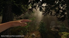 The Forest gameplay screenshots