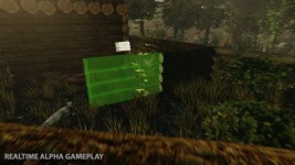 The Forest gameplay screenshots