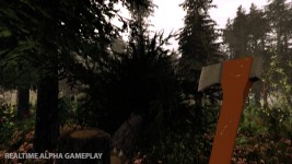 The Forest gameplay screenshots