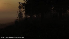 The Forest gameplay screenshots