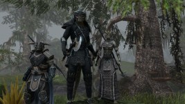 Elder Scrolls Online