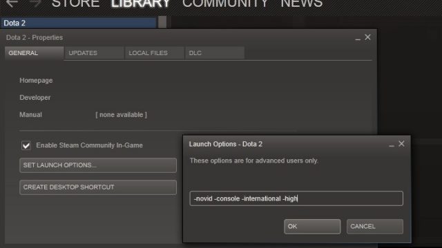 Launch Options